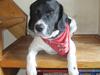 Blanding af racer <3Buster<3
