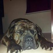 Blanding af racer Tyson