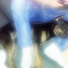 Blanding af racer Zita