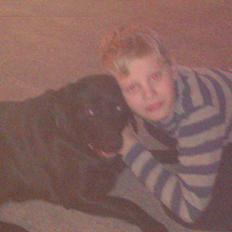 Blanding af racer Bella