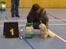 Coton de tulear Sisses Cindy