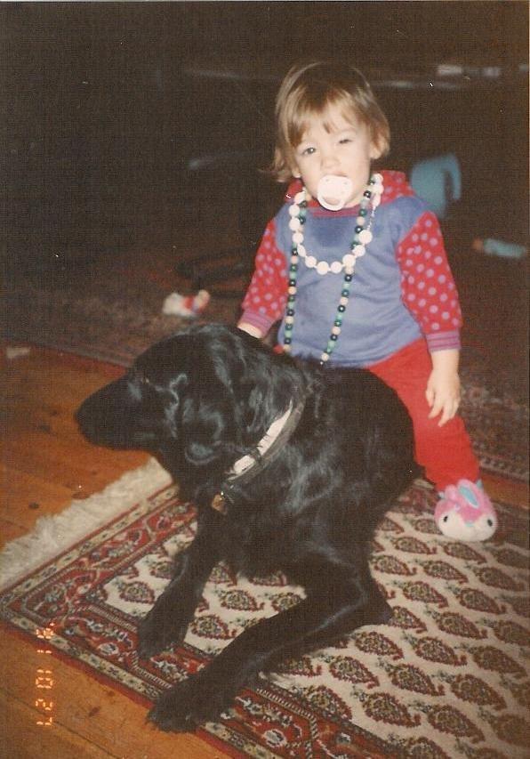 Flat coated retriever Melody Makers Forever yours ~Tessa~ billede 10