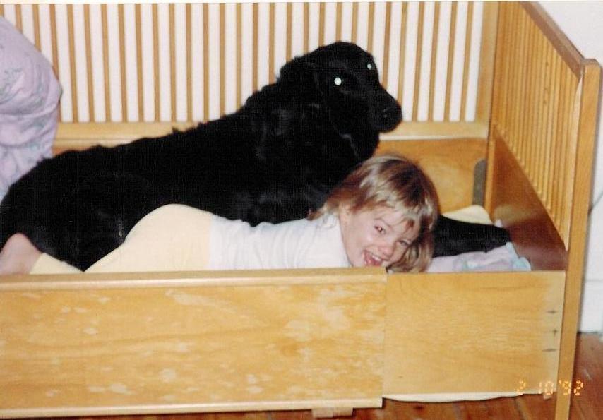 Flat coated retriever Melody Makers Forever yours ~Tessa~ billede 13