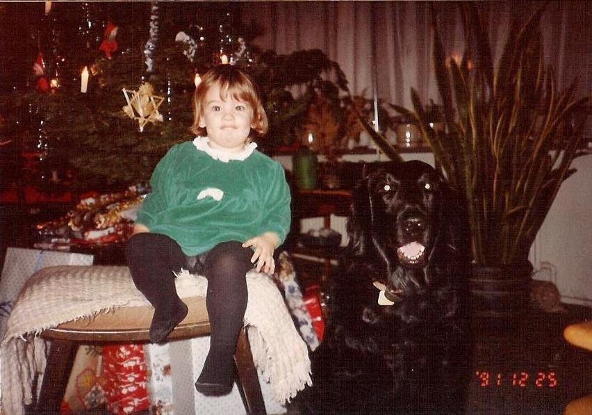 Flat coated retriever Melody Makers Forever yours ~Tessa~ billede 14