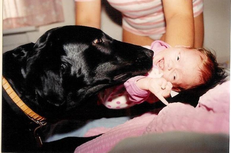 Flat coated retriever Melody Makers Forever yours ~Tessa~ billede 16