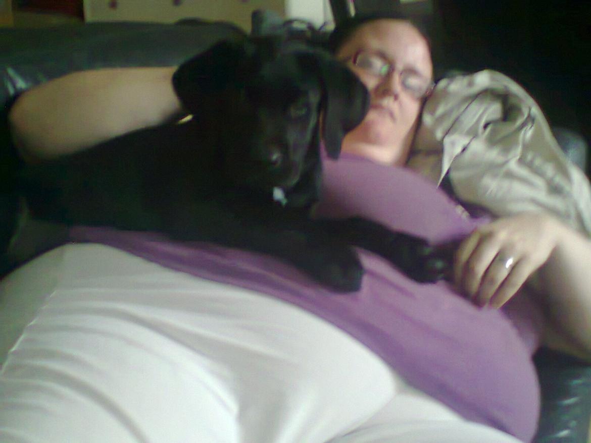 Blanding af racer Kenzo billede 13