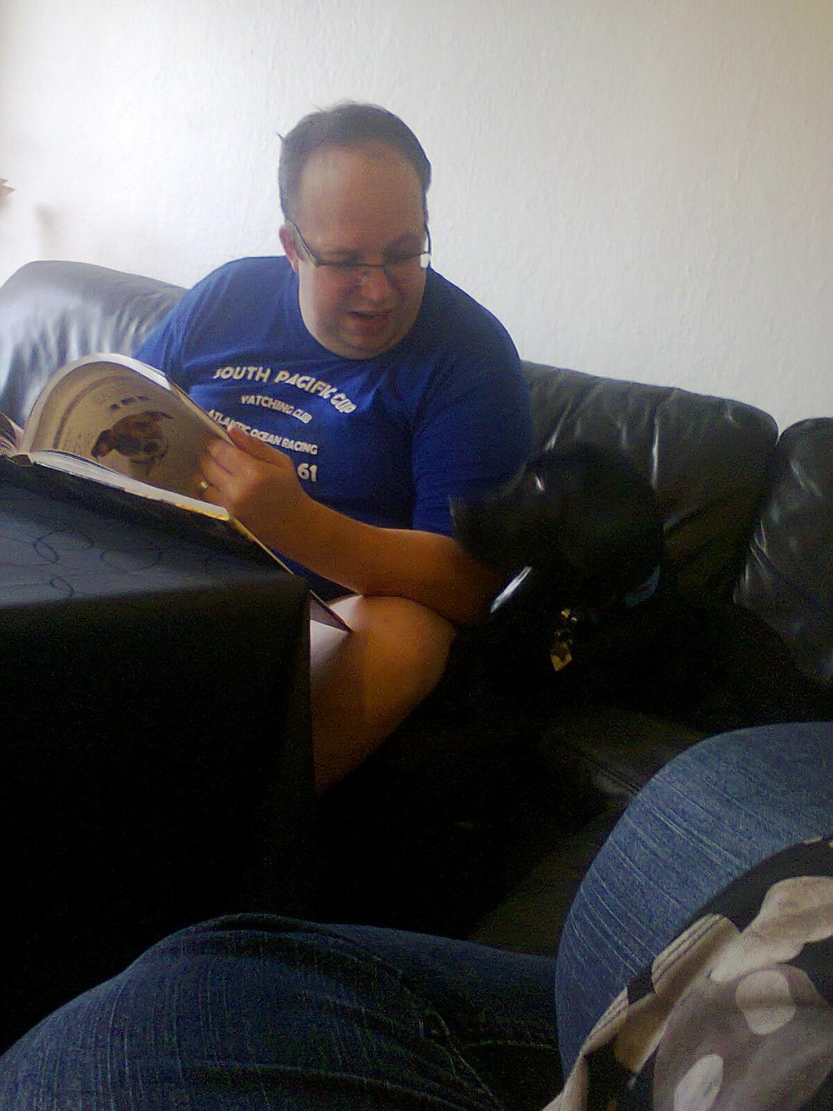 Blanding af racer Kenzo billede 18