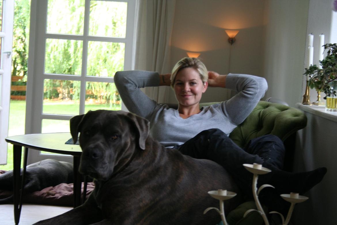 Cane corso ENZO billede 6