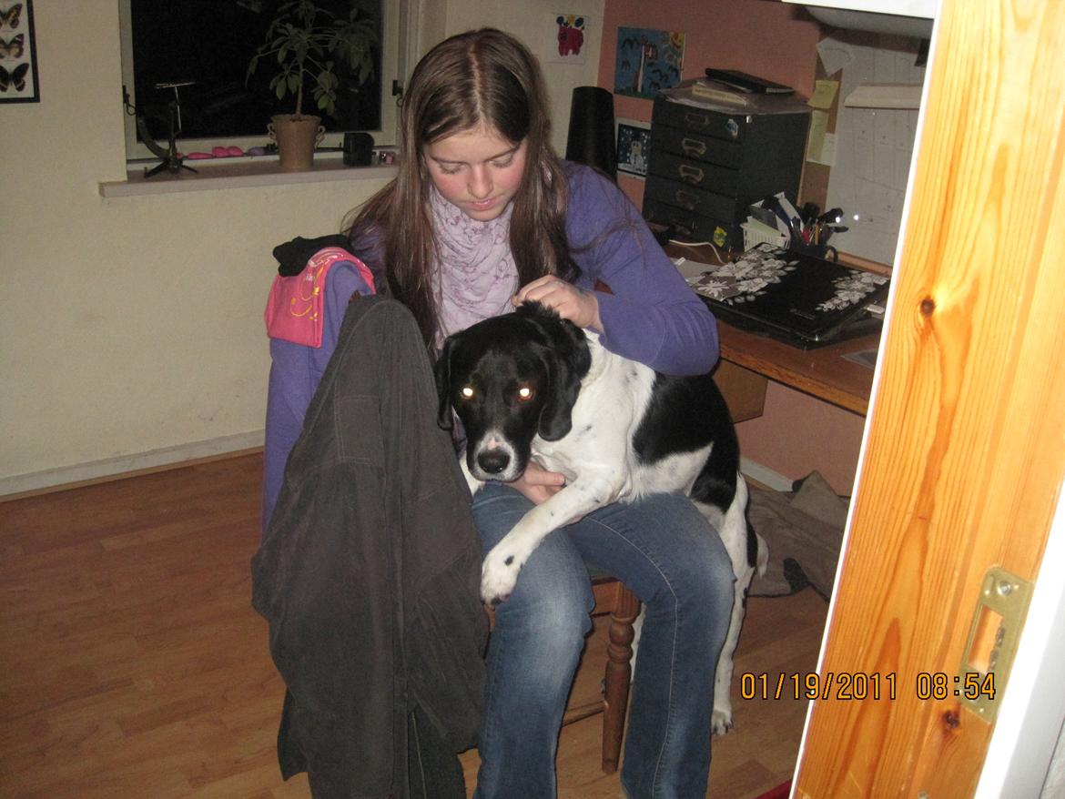 Blanding af racer <3Buster<3 - Du er den eneste jeg for alvor kan stole trygt på var, det ikke for jeg ku' det være det samme, og alting vil gå i stå <3
 billede 18