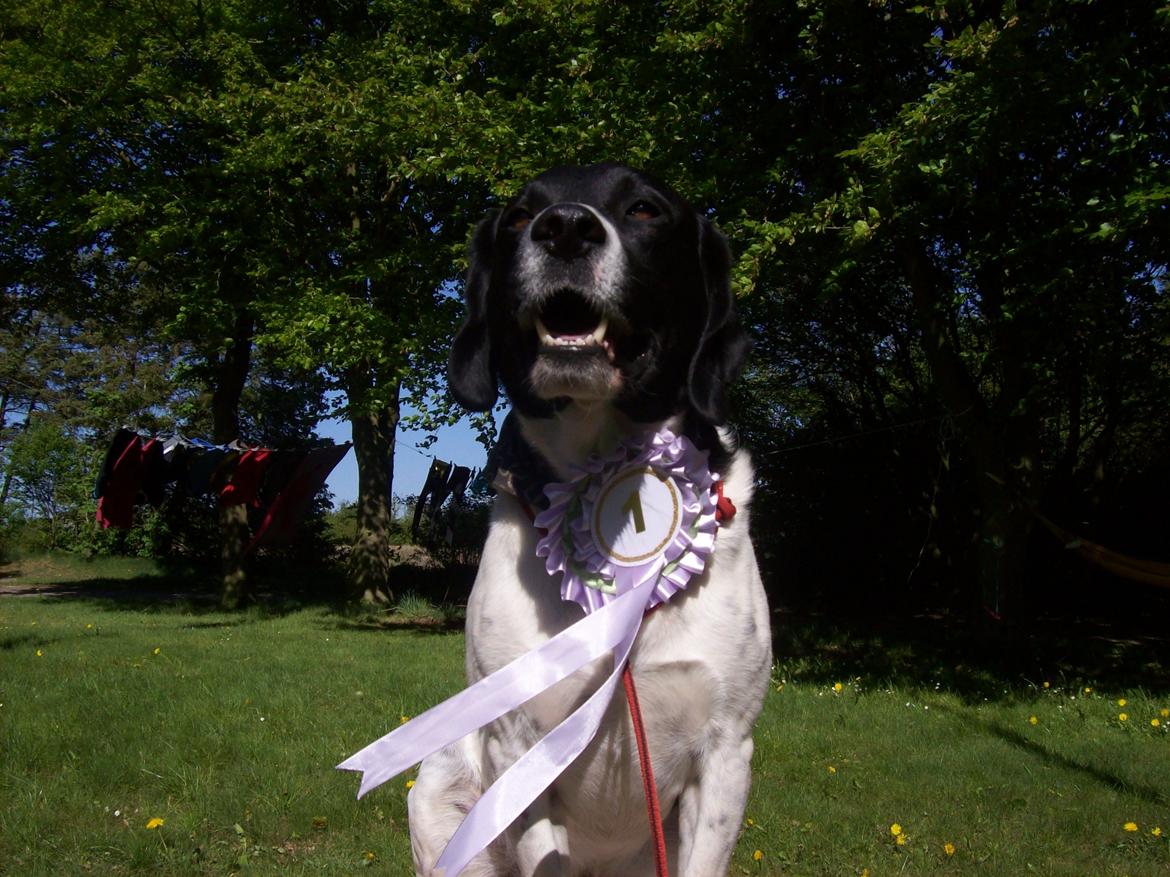 Blanding af racer <3Buster<3 - For mig, vil du altid være nr. 1. <3 billede 16