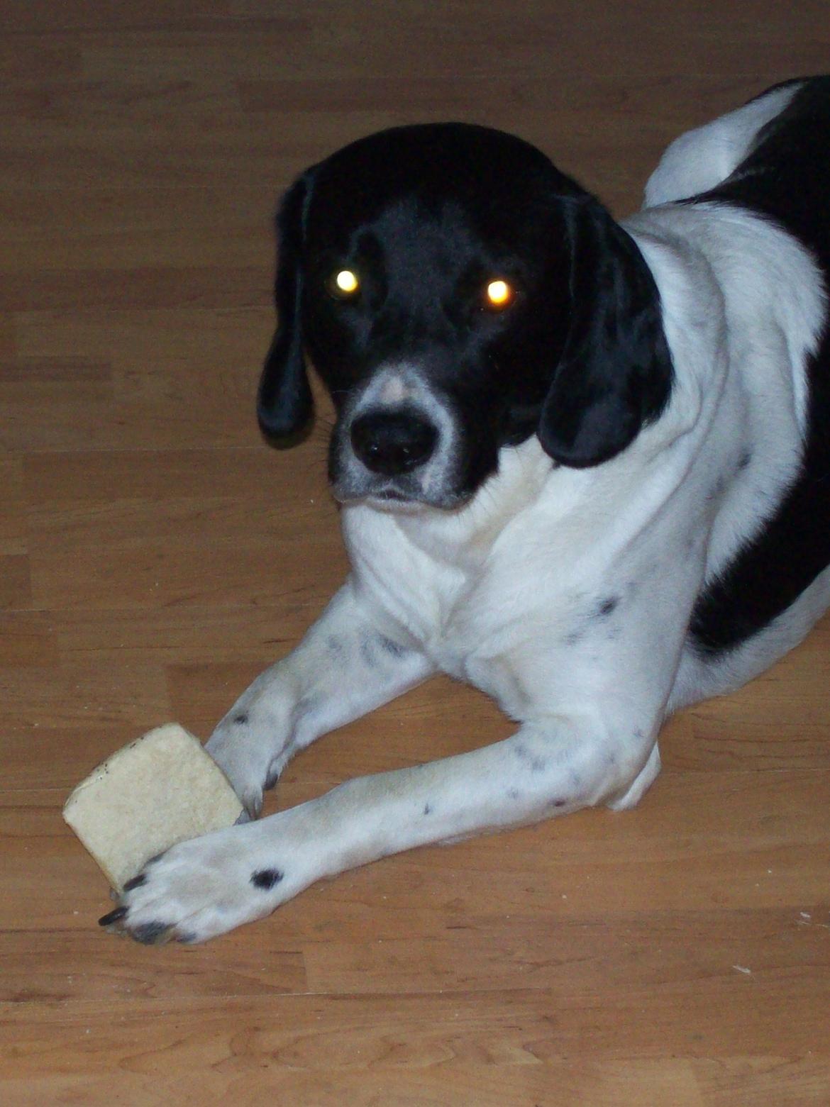 Blanding af racer <3Buster<3 - "Good friends are always together in the spirit"<3 billede 9