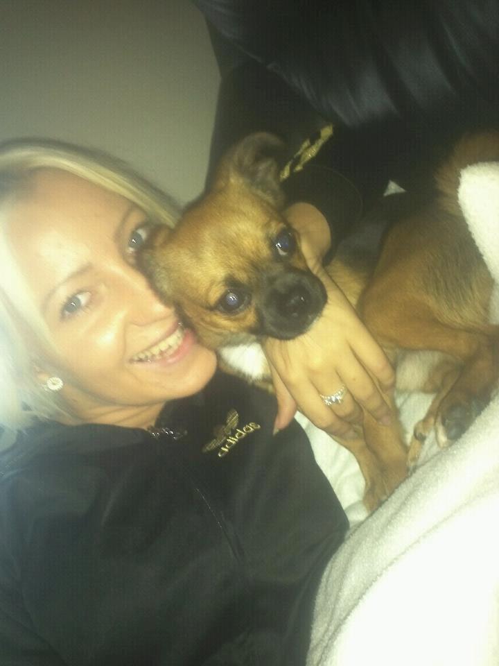 Blanding af racer Milo. billede 18