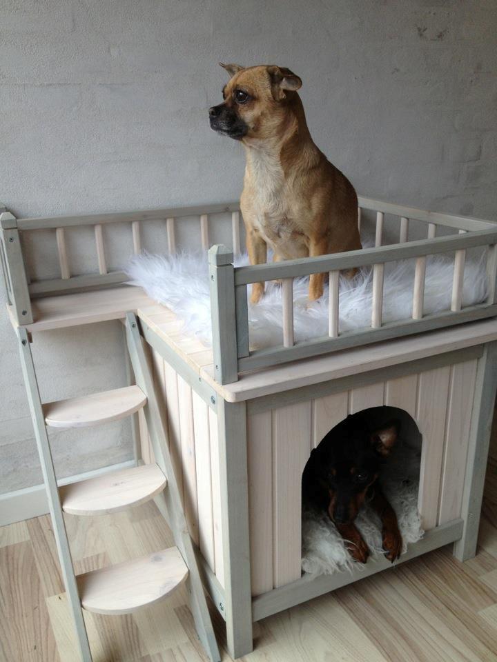 Blanding af racer Zhila billede 3