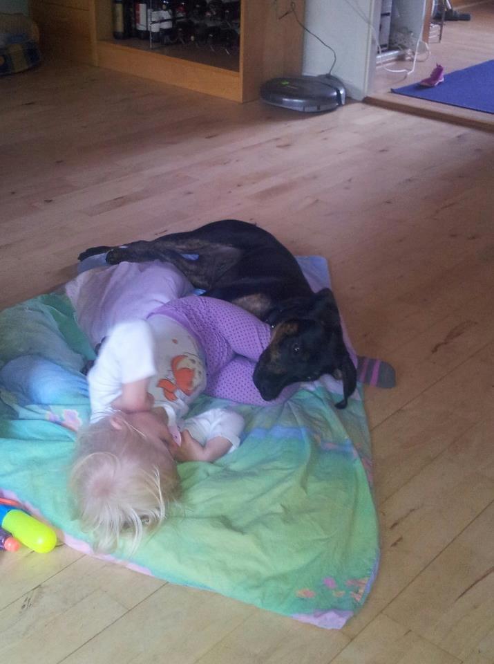 Blanding af racer Zita billede 7