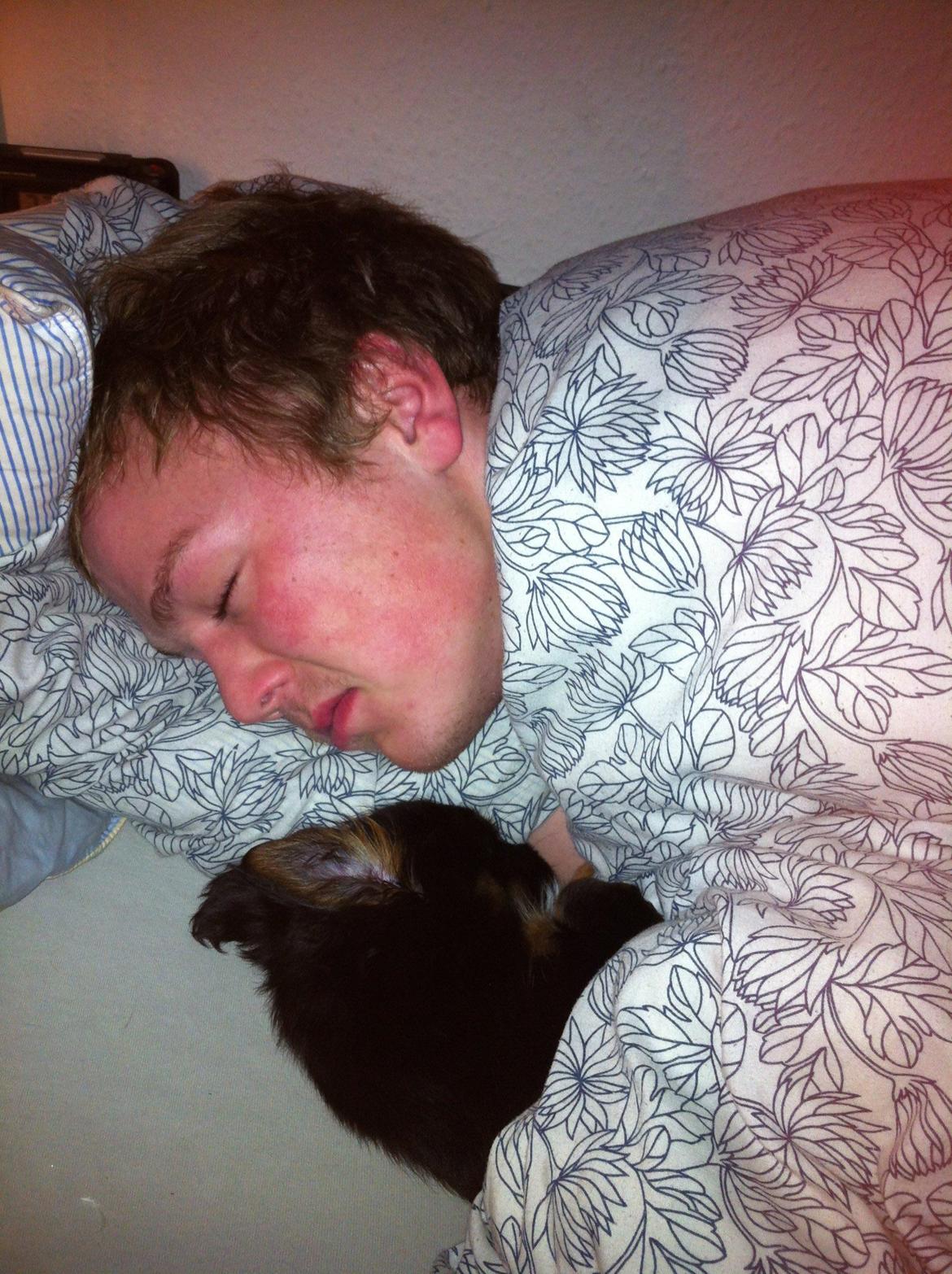 Blanding af racer Bimmer billede 4