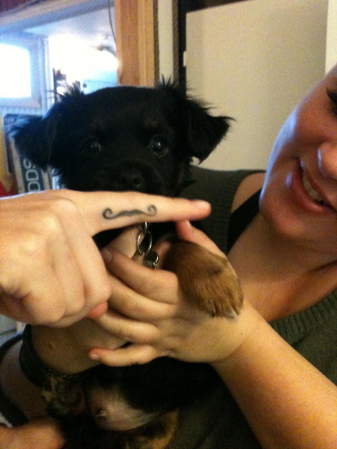 Blanding af racer Bimmer billede 7