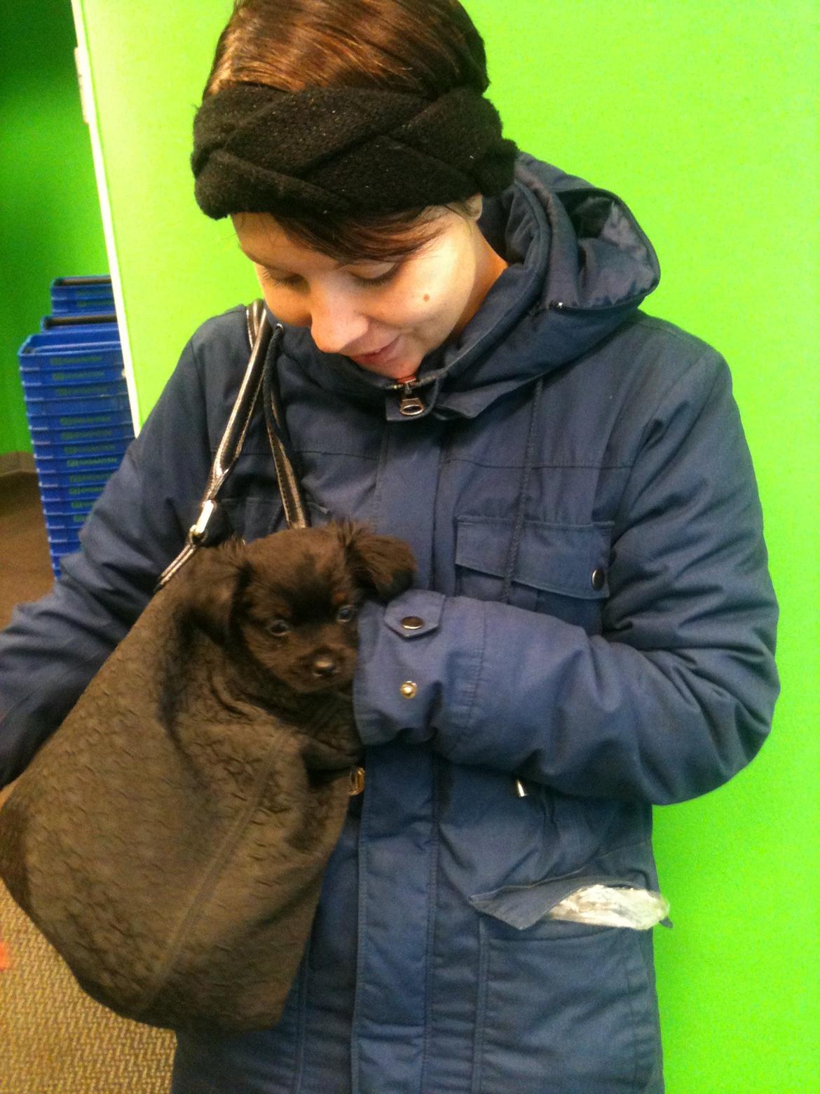 Blanding af racer Bimmer billede 8