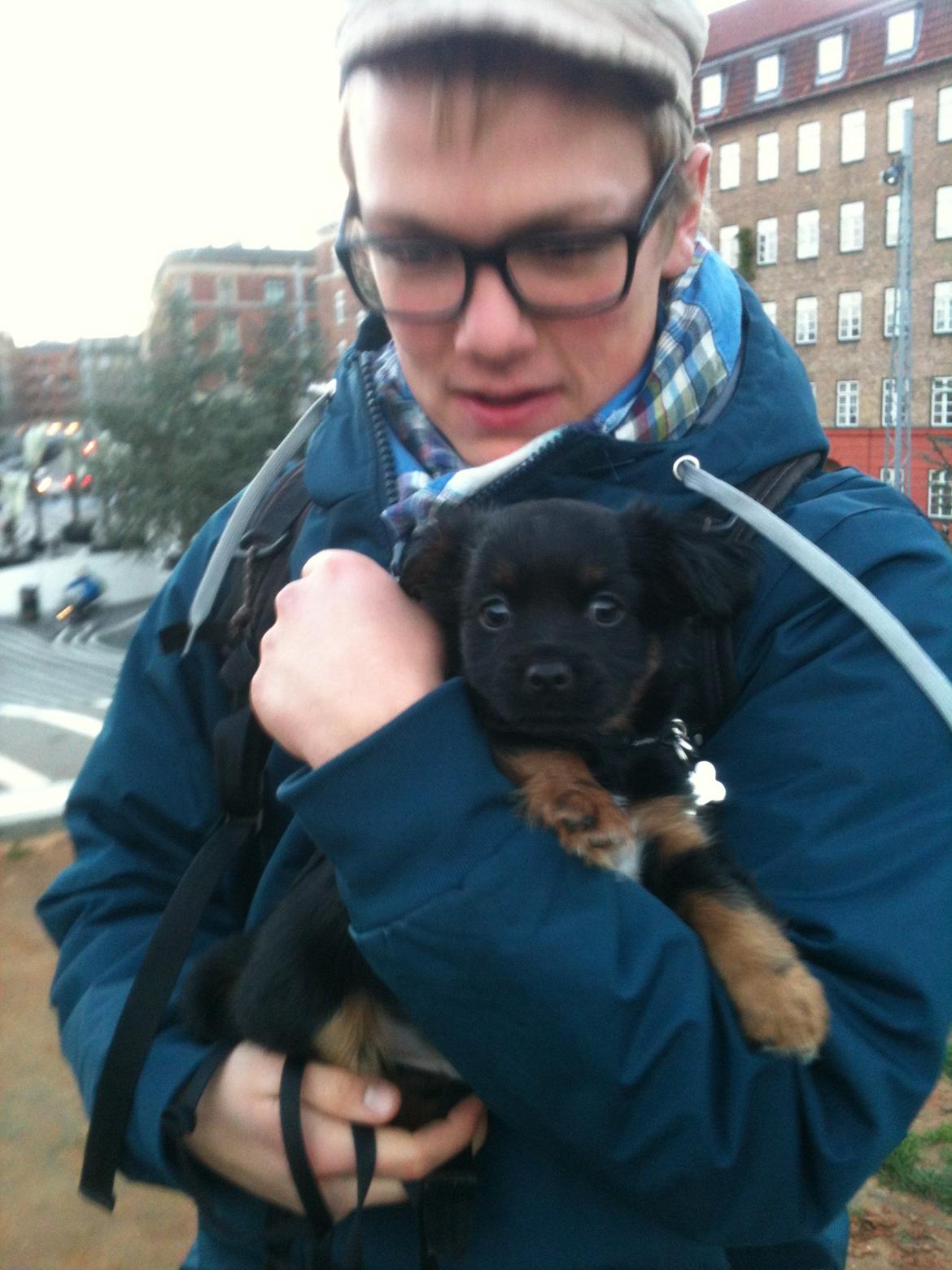 Blanding af racer Bimmer billede 10