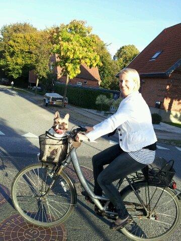 Fransk bulldog Charley - Cykeltur :) billede 11