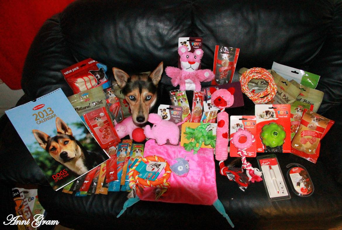 Blanding af racer Nishka - Nishka med sin finde præmie fra Best Friend's kalender konkurrence :D billede 17