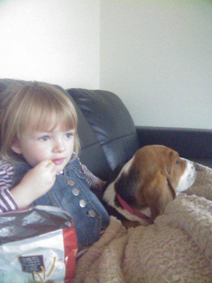 Basset hound Luna R.i.p billede 13