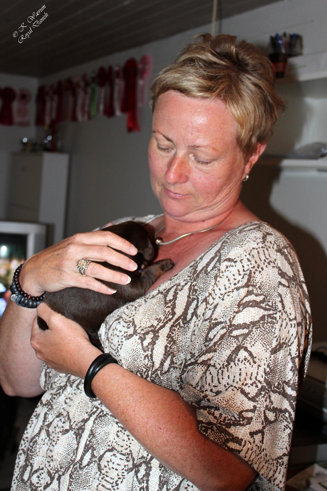 Dobermann Royal Danish Baronesse von Blixen billede 20