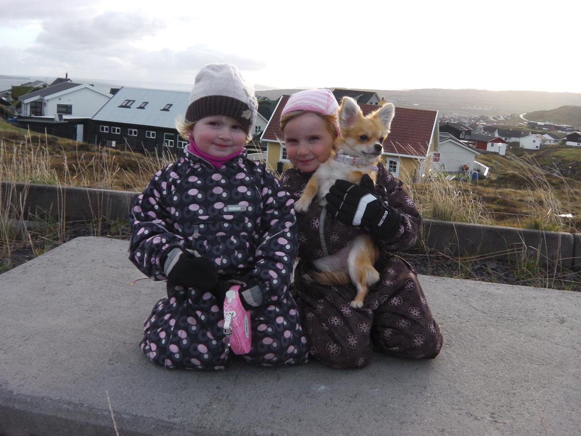 Chihuahua Chloe - Mine skønne døtre på tur sammen med Chloe billede 10