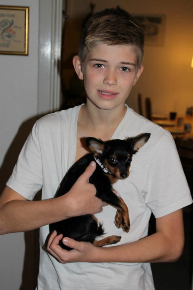 Prazsky krysarik Lady billede 16