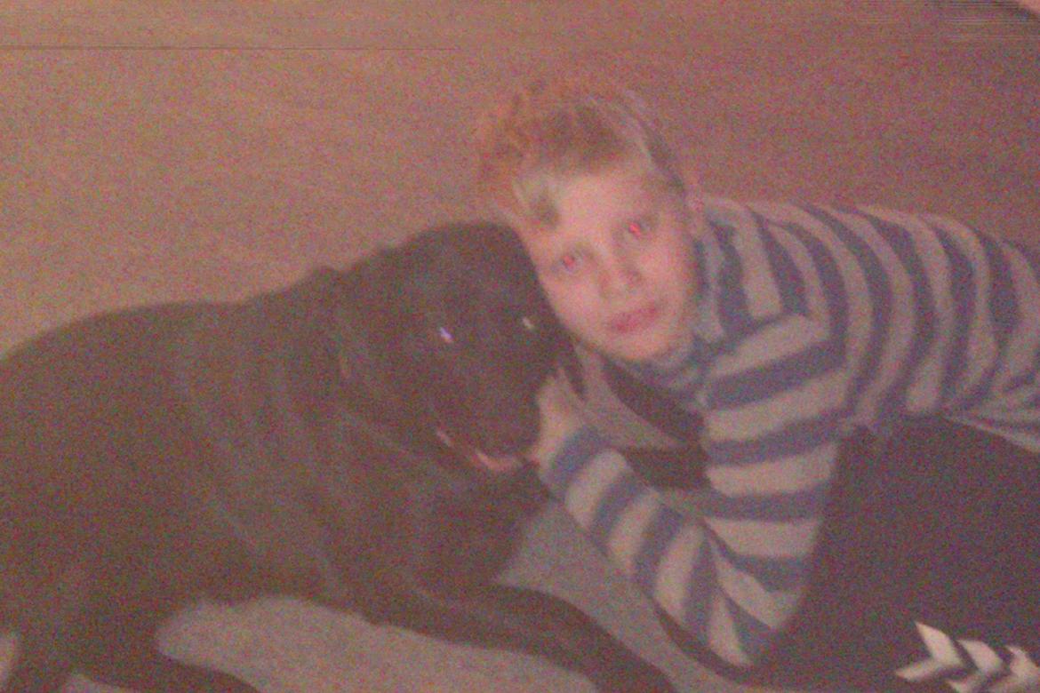 Blanding af racer Bella billede 2