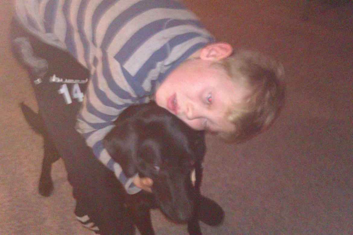 Blanding af racer Bella billede 5