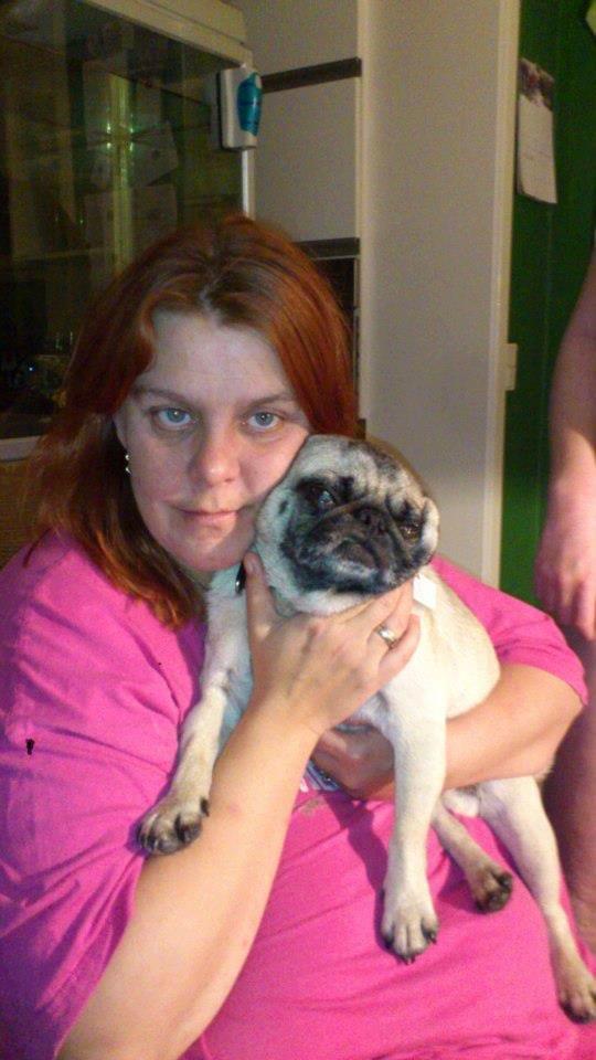 Mops Boris billede 1