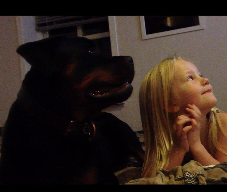 Rottweiler Vom Hause Wenorra Lucas - Sommer og Lucas ser Disney november 2012 billede 16