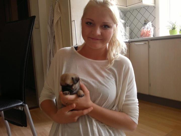 Mops Maggie - Maggie og jeg. Her er hun 4 uger :-) billede 15