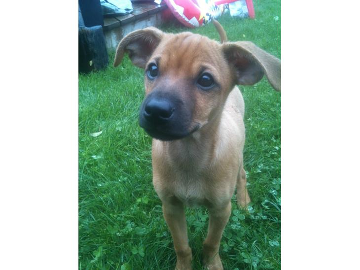 {{currentPhoto.altText}} billede {{currentPhoto.number}}