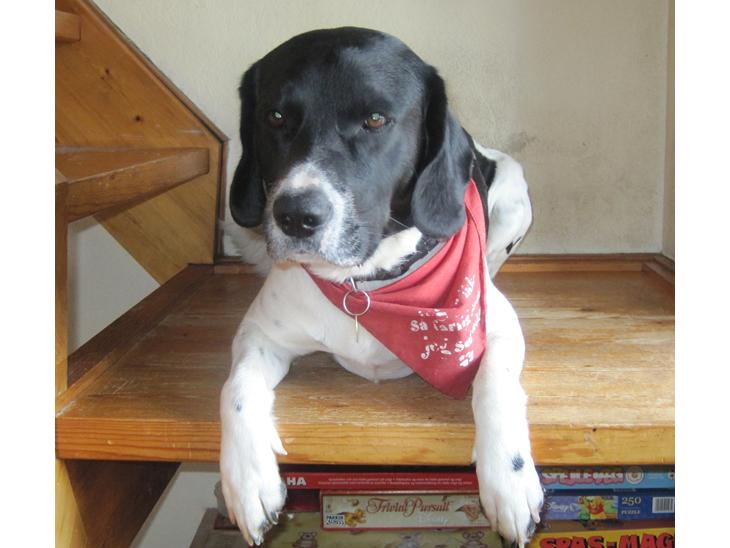 {{currentPhoto.altText}} billede {{currentPhoto.number}}