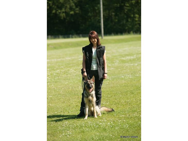 {{currentPhoto.altText}} billede {{currentPhoto.number}}