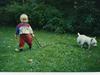 West highland white terrier Nufti [ Himmelhund]