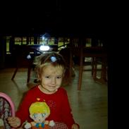 Golden retriever Falco