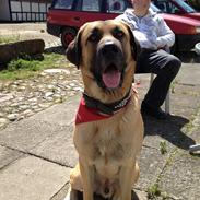 Blanding af racer boss