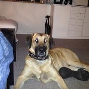 Blanding af racer boss