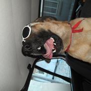 Blanding af racer boss