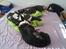 Welsh corgi cardigan Aasteds Fighting Friend (Ludvig) - ZzzzZzzzz