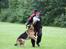 Schæferhund Lyagers Come On Corba - Avlskåring