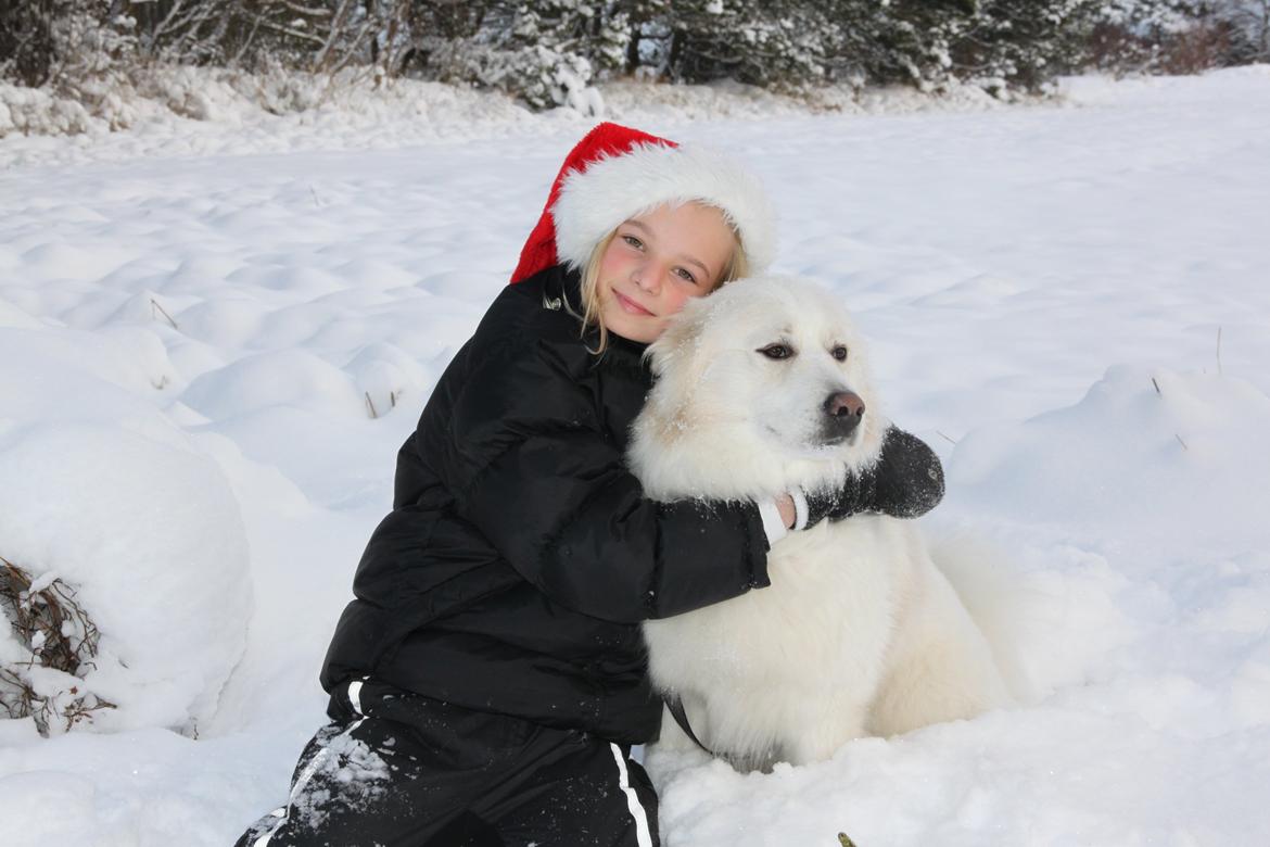 Blanding af racer Nemo - Elsker dig basse <3 billede 7