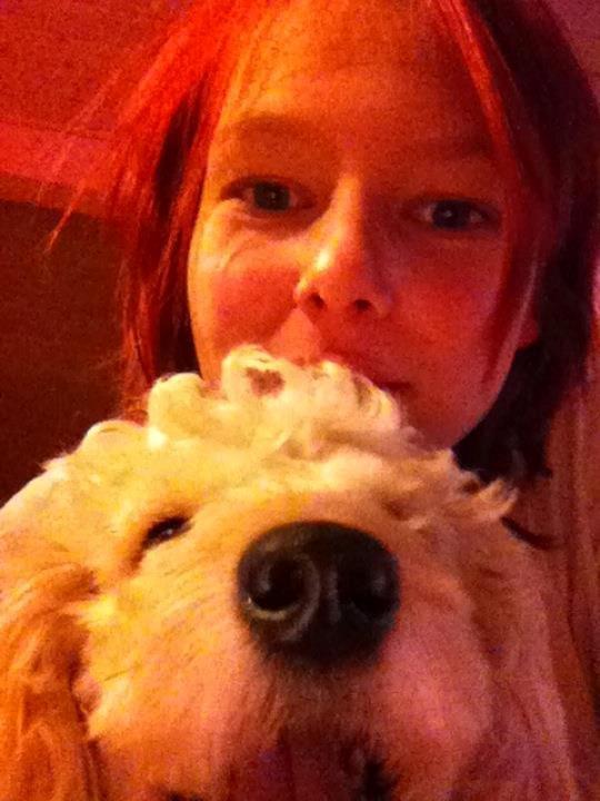 Blanding af racer Fenris billede 4