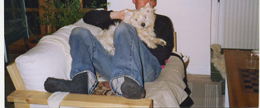 West highland white terrier Nufti billede 7