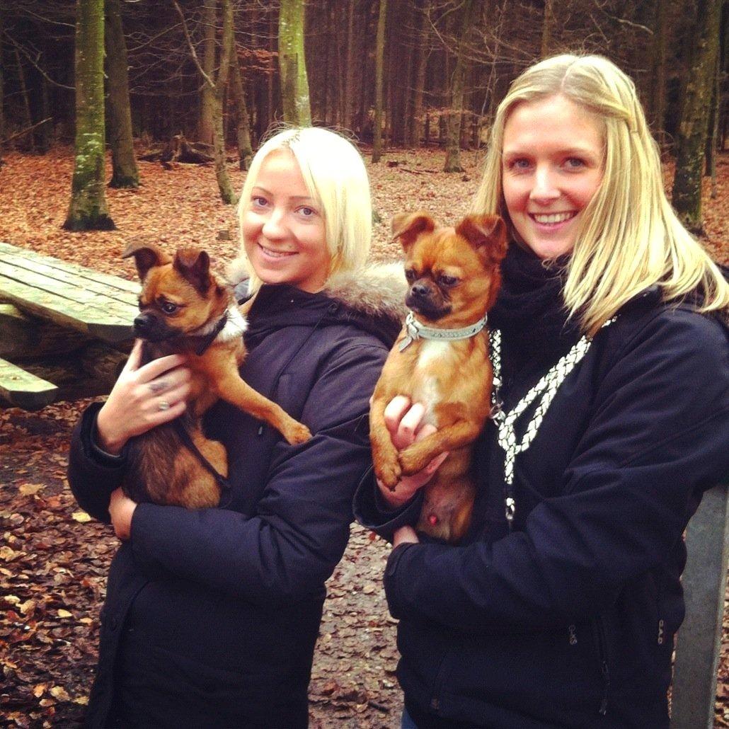 Blanding af racer Milo. - Milo og jeg, sammen med han's storebror og Christina :-) billede 3