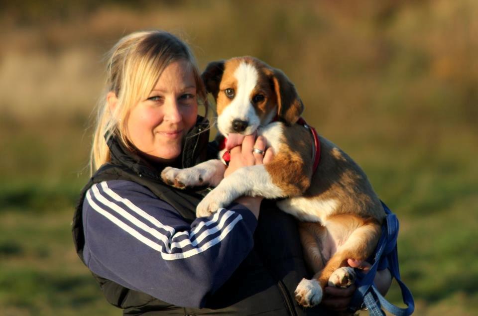 Blanding af racer Xena billede 18