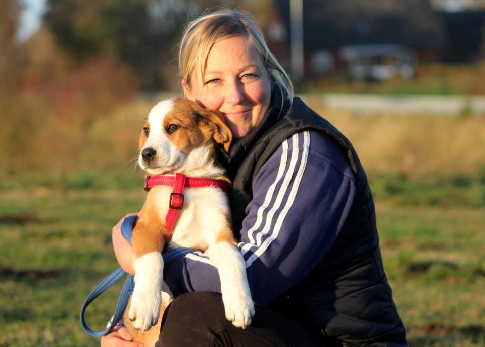 Blanding af racer Xena - Xena og jeg, ude ved hestene billede 9