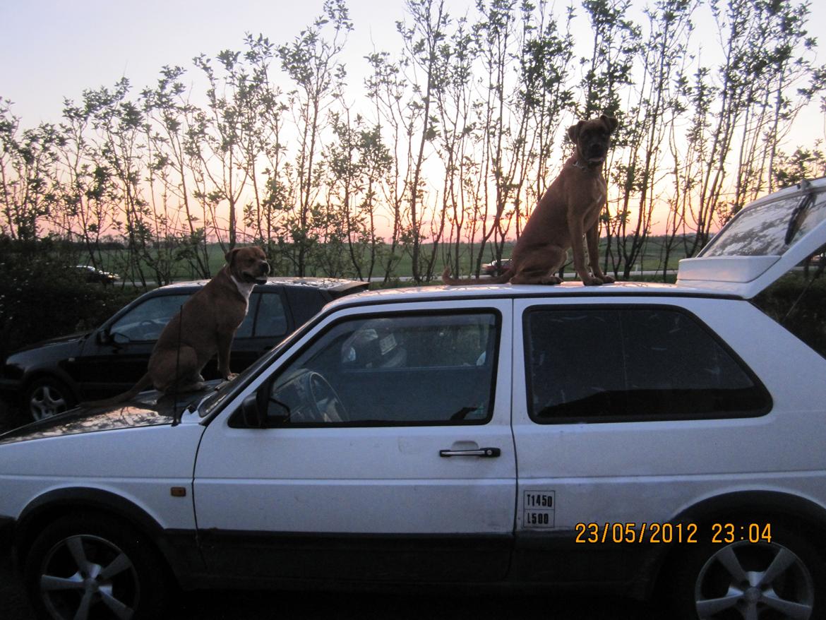 Blanding af racer Emma (hvil i fred <3) - Emma og Cash (: billede 25